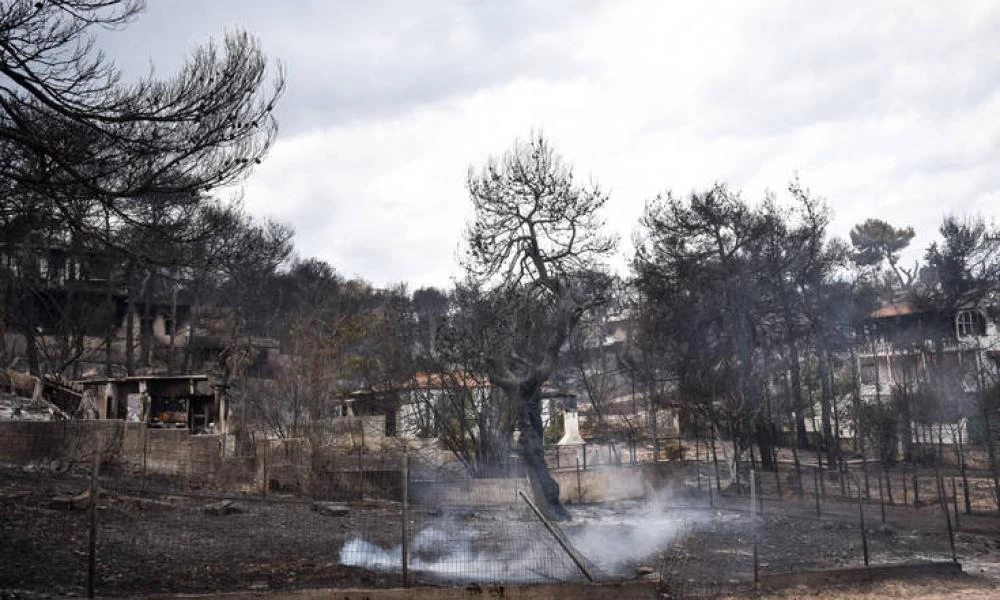 Μάτι: Από τα 2.000 σπίτια τα 400 είναι σε αναδασωτέες περιοχές